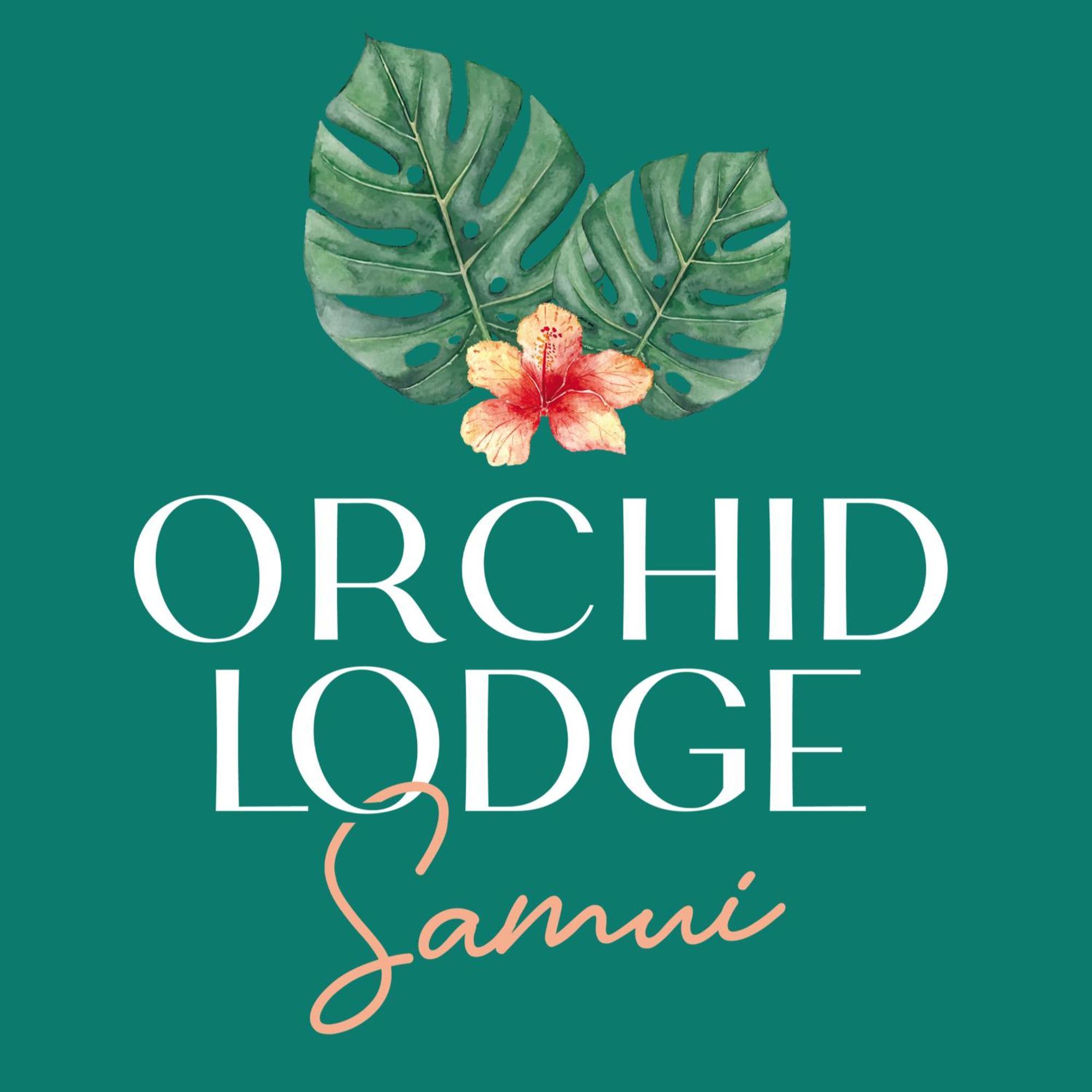 Orchid Lodge Samui - Bed & Breakfast Lamai Beach  Dış mekan fotoğraf