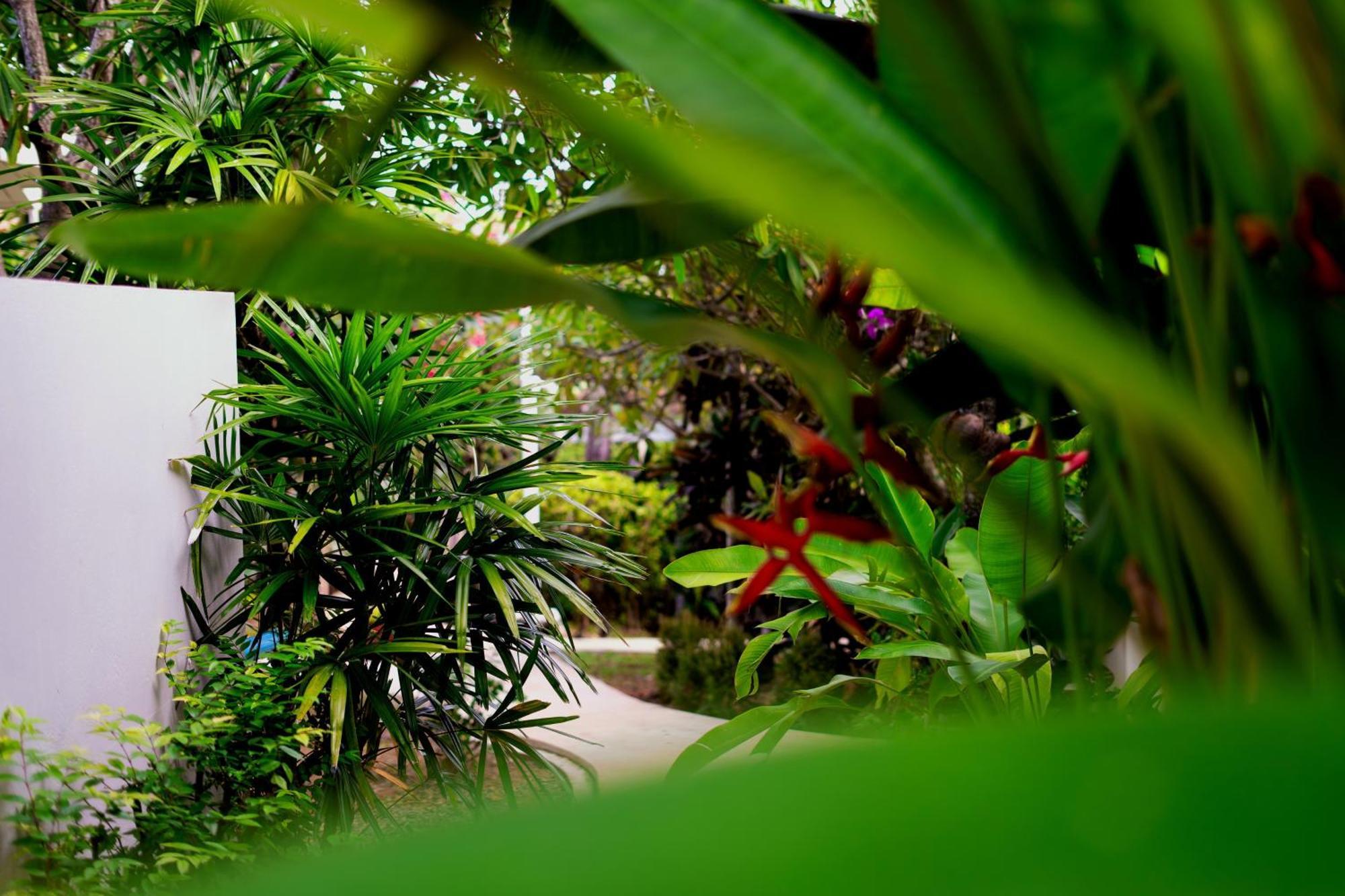 Orchid Lodge Samui - Bed & Breakfast Lamai Beach  Dış mekan fotoğraf