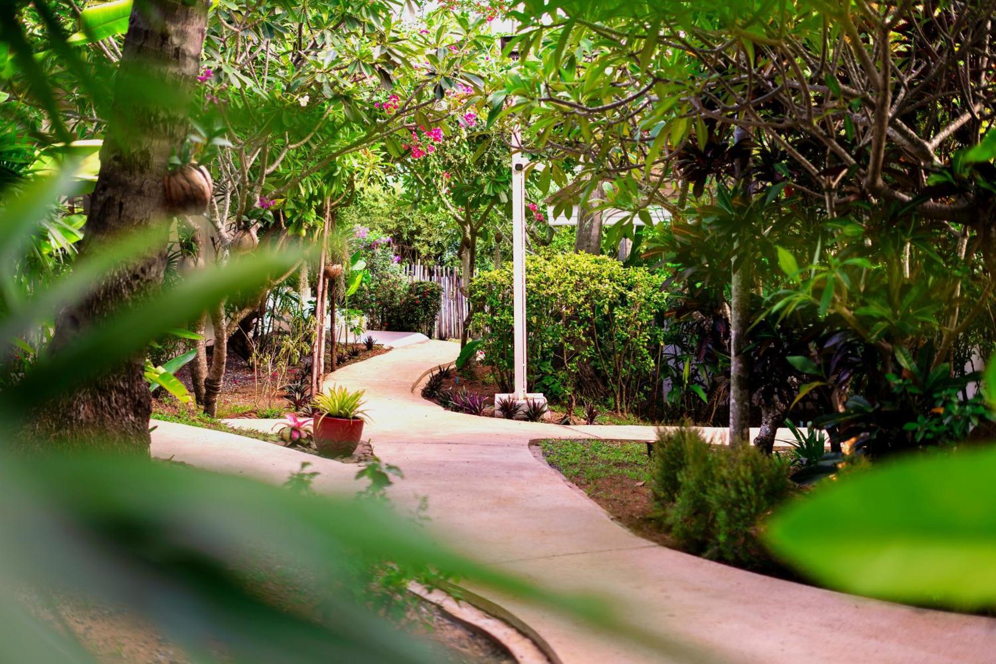 Orchid Lodge Samui - Bed & Breakfast Lamai Beach  Dış mekan fotoğraf