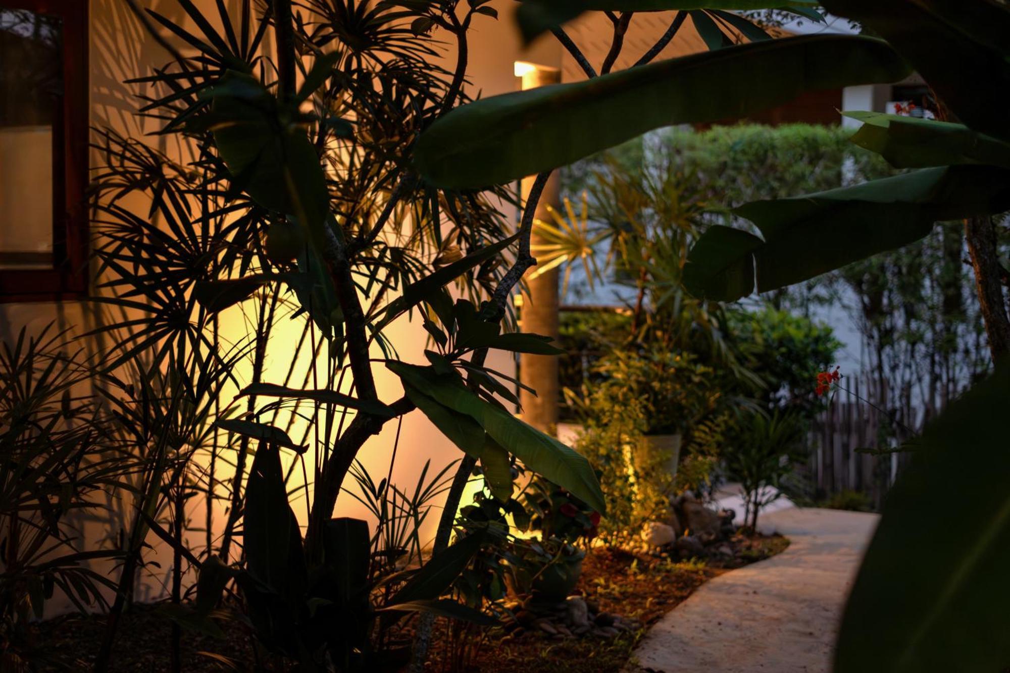 Orchid Lodge Samui - Bed & Breakfast Lamai Beach  Oda fotoğraf